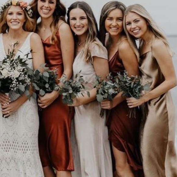 Baltic Born Velvet Maxi Dress in Champagne✨ - Picture 4 of 4